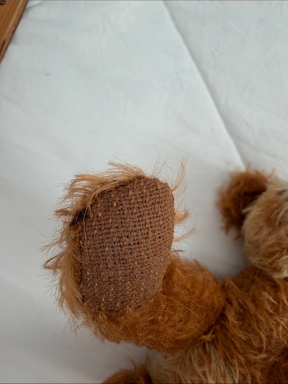 Teddy bear ace - Picture 9 of 11